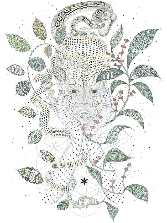 Aya T-Shirt — Image 3 by Symbolika