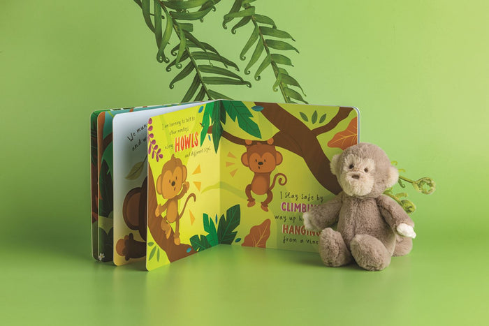 Day In The Life Of Felix The Monkey Book