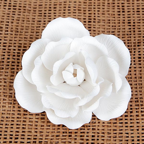 Large Full Bloom Roses - White