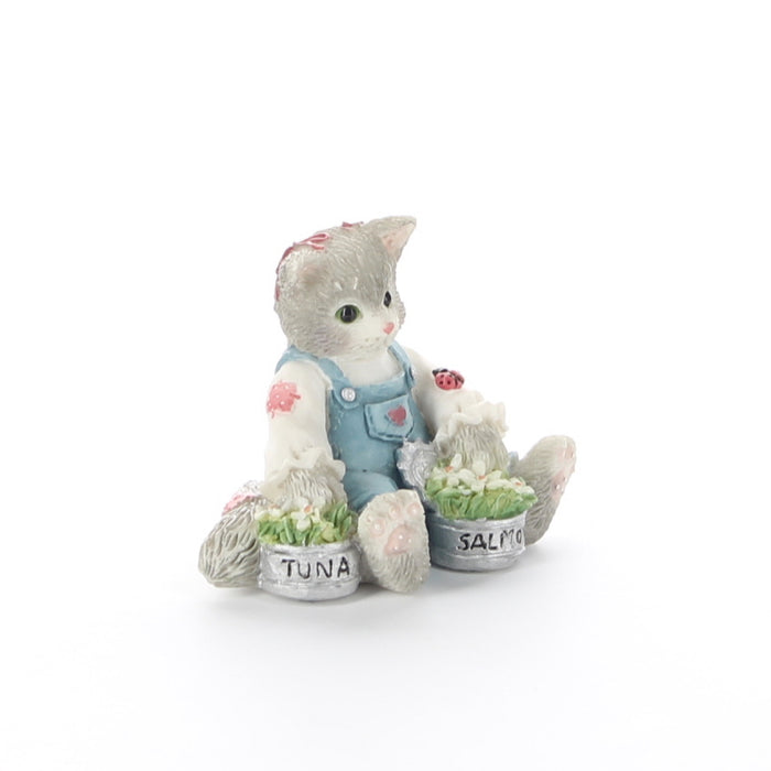 Calico-Kittens-Mini-Cat-Flowers-204048-picture-8