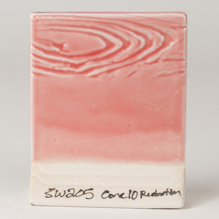 SW205 - Coral