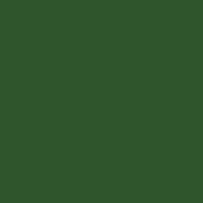 ARCHIVED MASON #6209 - Chrome Green