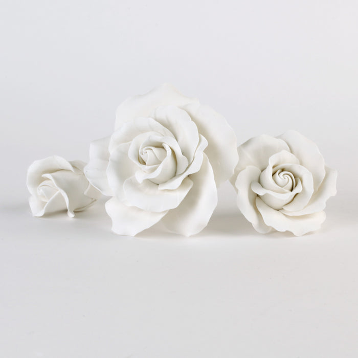 Assorted Size Garden Roses - White
