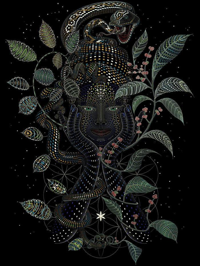 Aya Canvas 24 x 36 (61X91 cm) - symbolika
