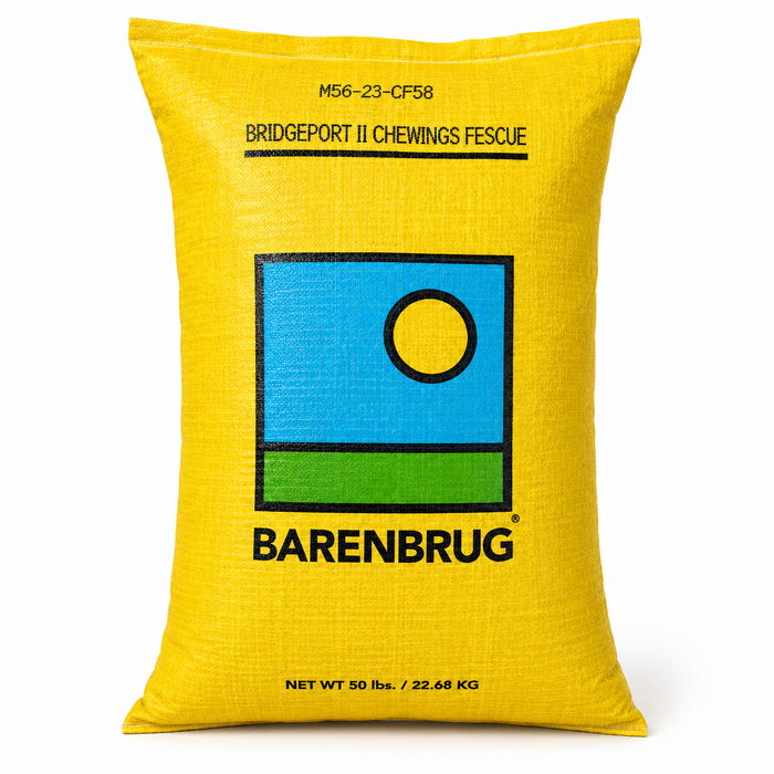 Barenbrug Bridgeport II Chewings Fine Fescue Grass Seed - 50 Lbs. - Seed World