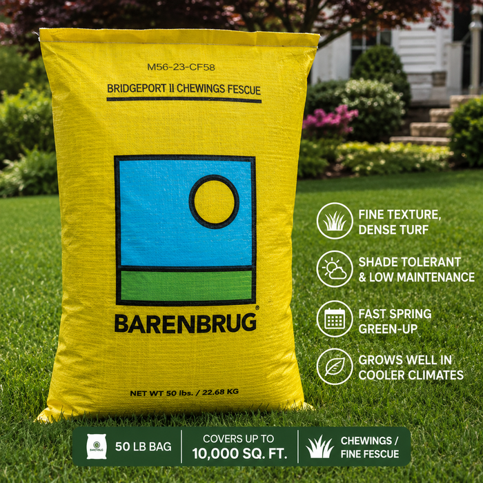 Barenbrug Bridgeport II Chewings Fine Fescue Grass Seed - 50 Lbs. - Seed World