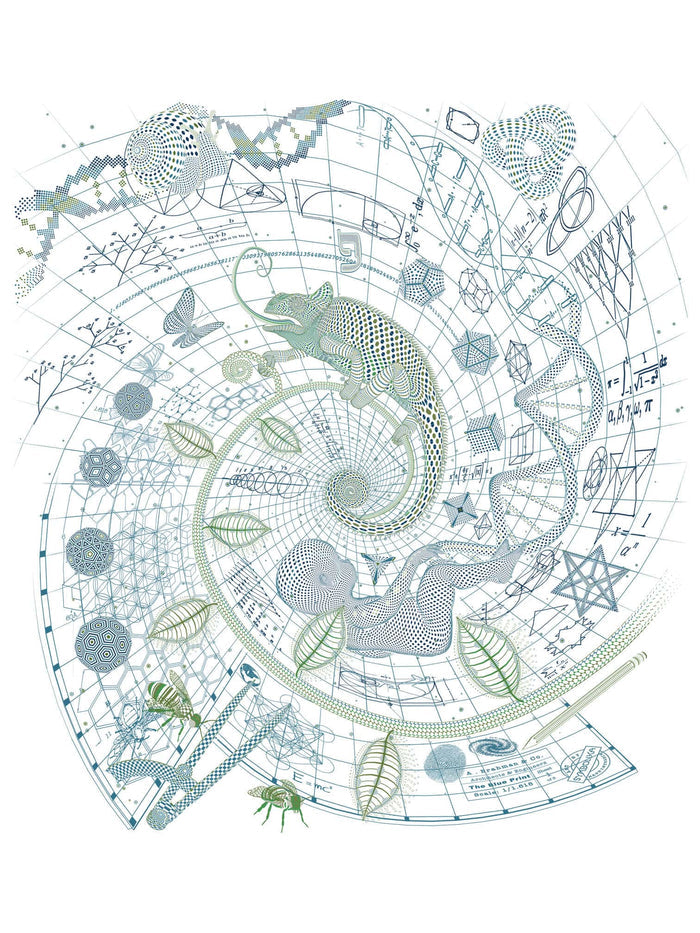 Blueprint 1 Land T-Shirt — Image 2 by Symbolika