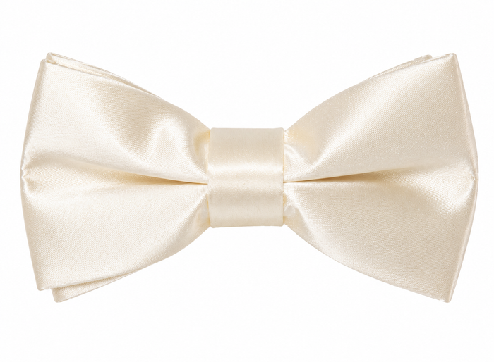 Boys Satin Bow Tie

Complete the perfect formal look with our classic Boys Satin Black Bow Tie. Crafted with a smooth satin finish, it's the ideal accessory for weddings, school formals, page boys, black-tie events, and other special occasions.

Luxurious satin finish for a timeless, polished look
Bow measures 8.5cm across
Adjustable neck strap with a full length of 45cm
Comfortable, secure fit
The perfect finishing touch for every young gentleman

A classic formal accessory designed to add styl