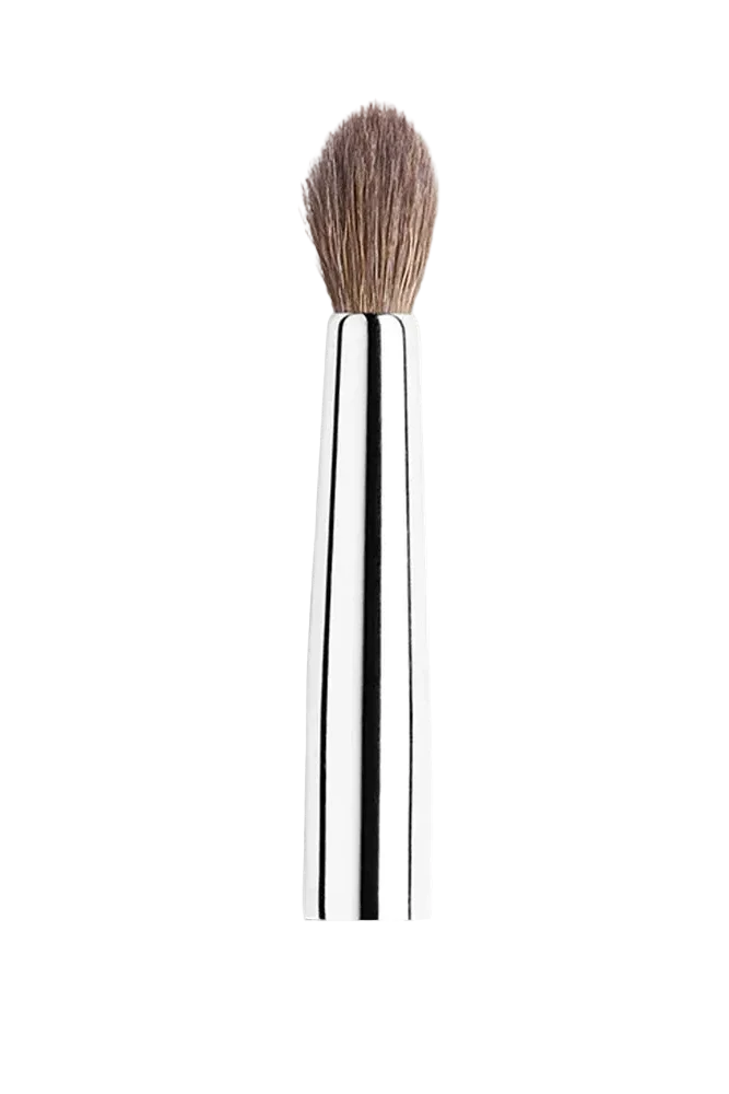 Brush 29 Tapered Blending