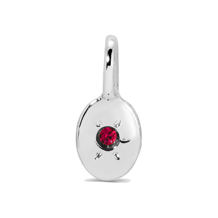 A silver pendant with a red gem.