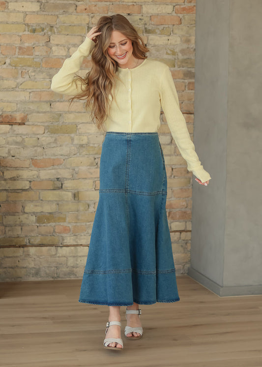 Cross Stitch A line Denim Skirt FF Skirts