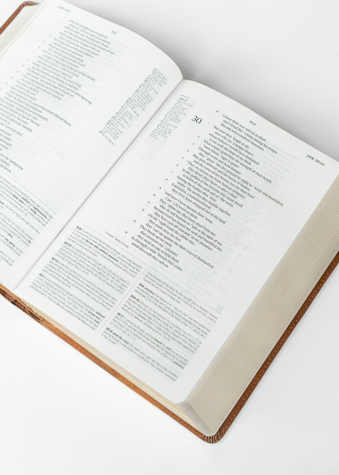 Hosanna Revival ESV Study Bible Aurora Theme Gifts