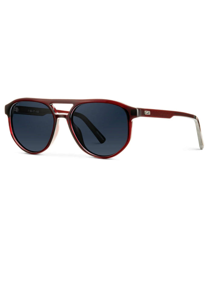 Hudson Aviator Polarized Sunglasses Accessories