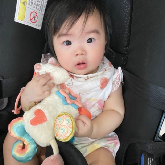 Itzy Friends Link & Love™ Activity Plush with Teether Toy