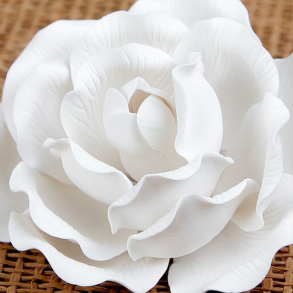Large Full Bloom Roses - White
