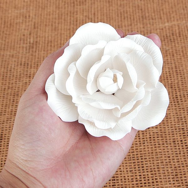 Large Full Bloom Roses - White
