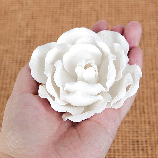 Large Full Bloom Roses - White