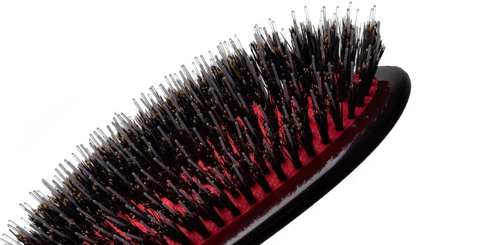 Large Hairbrush Classic Shine CSML