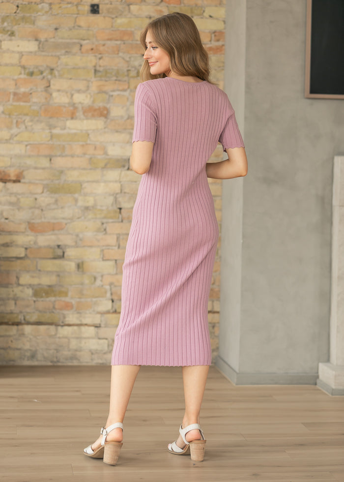 Lita Knit Button Front Dress IC Dresses