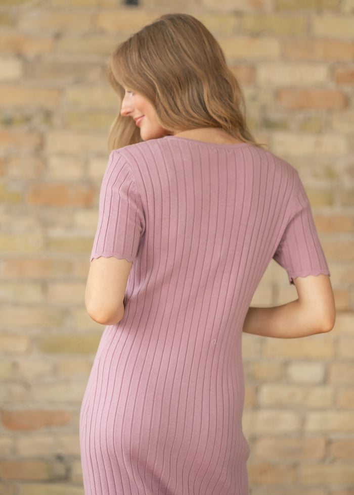 Lita Knit Button Front Dress IC Dresses