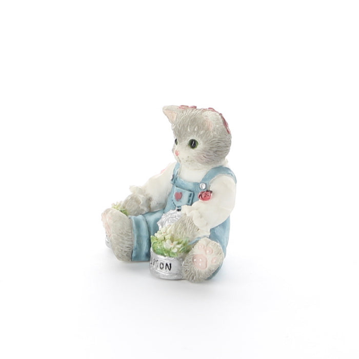 Calico-Kittens-Mini-Cat-Flowers-204048-picture-2