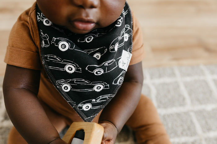 Nash Baby Bandana Bib Set (4-pack)