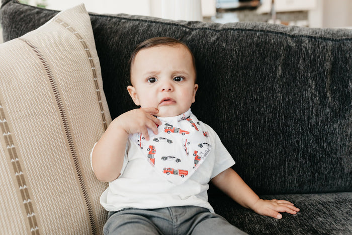 Nash Baby Bandana Bib Set (4-pack)