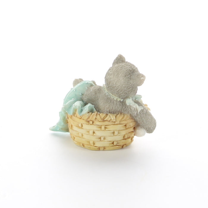 Calico-Kittens-New-Arrival-167355-picture-6