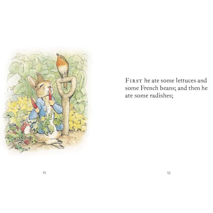 Peter Rabbit The Tale of Peter Rabbit - ebebek - Black Friday
