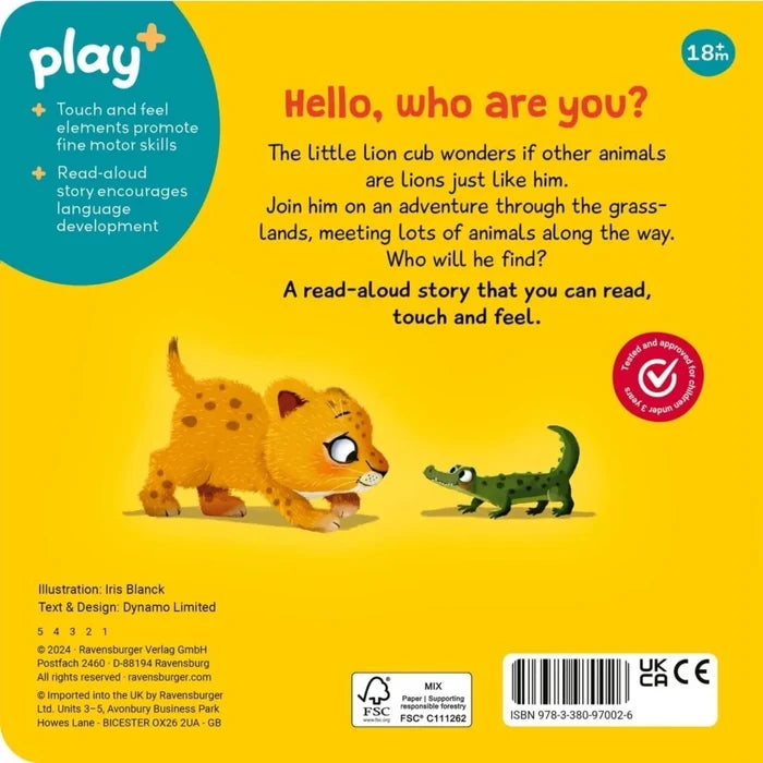 Play+ Are You a Lion Like Me? Book - ebebek