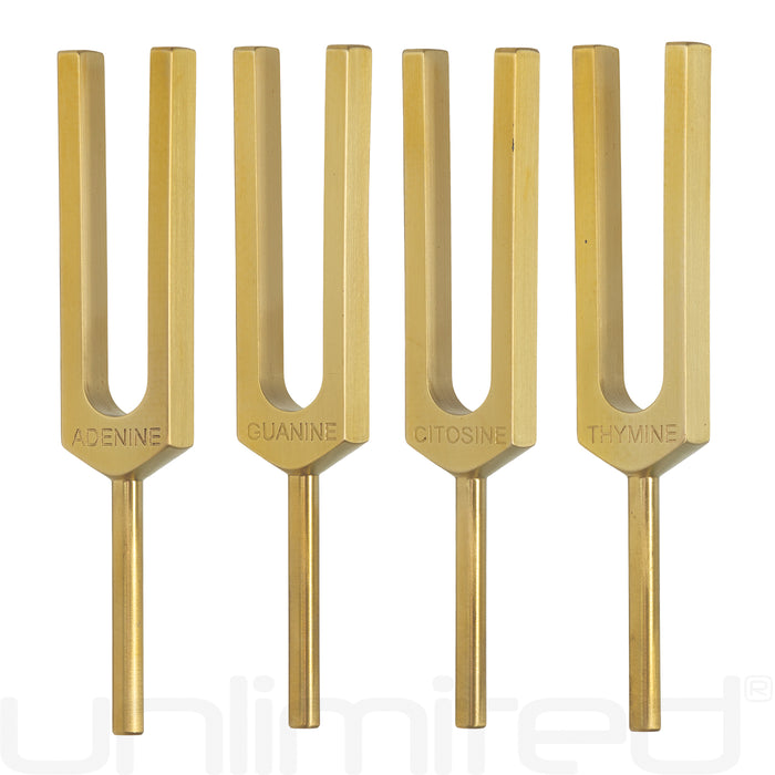 PraPelnia DNA Set of 4 Brass Tuning Forks