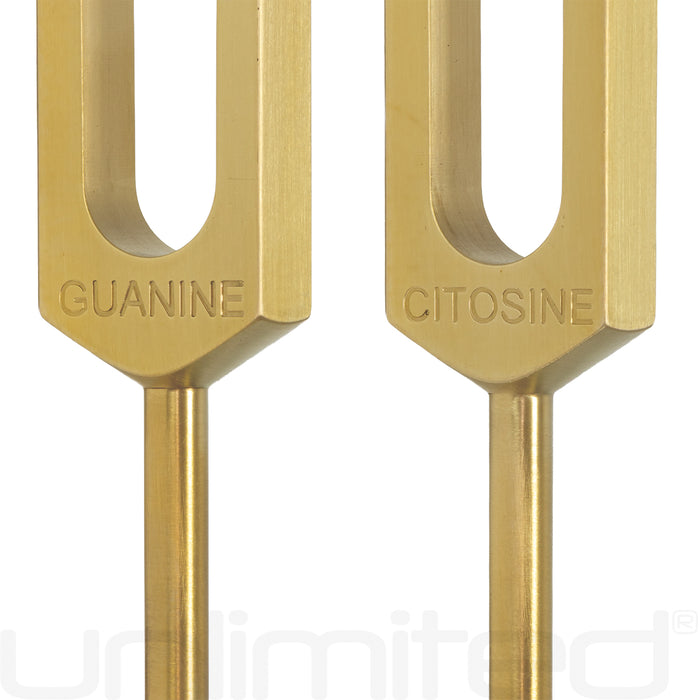 PraPelnia DNA Set of 4 Brass Tuning Forks