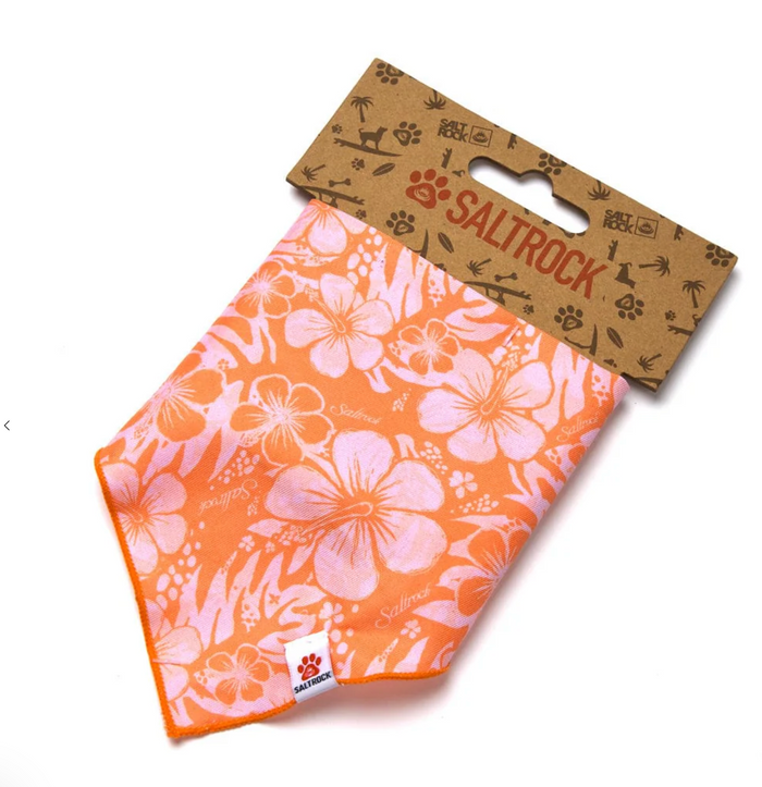 Saltrock Hibiscus - Dog Bandana - Orange
