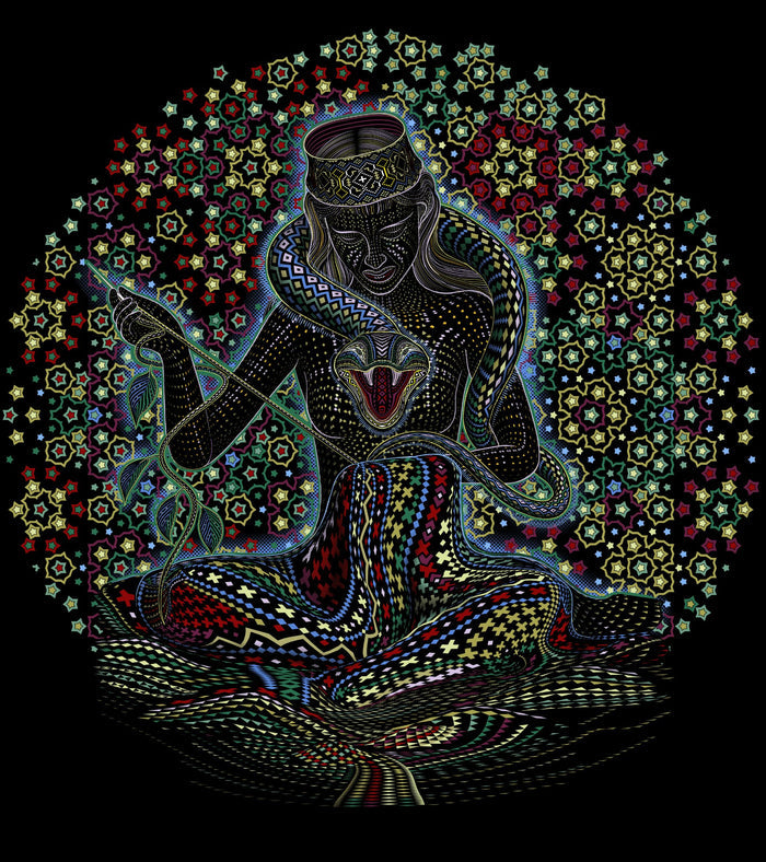 Song Weaving T-Shirt Choice of Colors — Image 2 by Symbolika