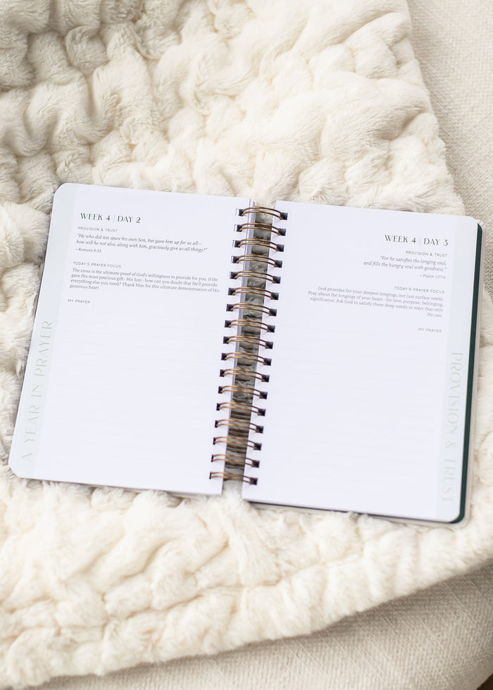 Spiral Bible™ A Year In Prayer: A Journey of Daily Prayer and Reflection Gifts