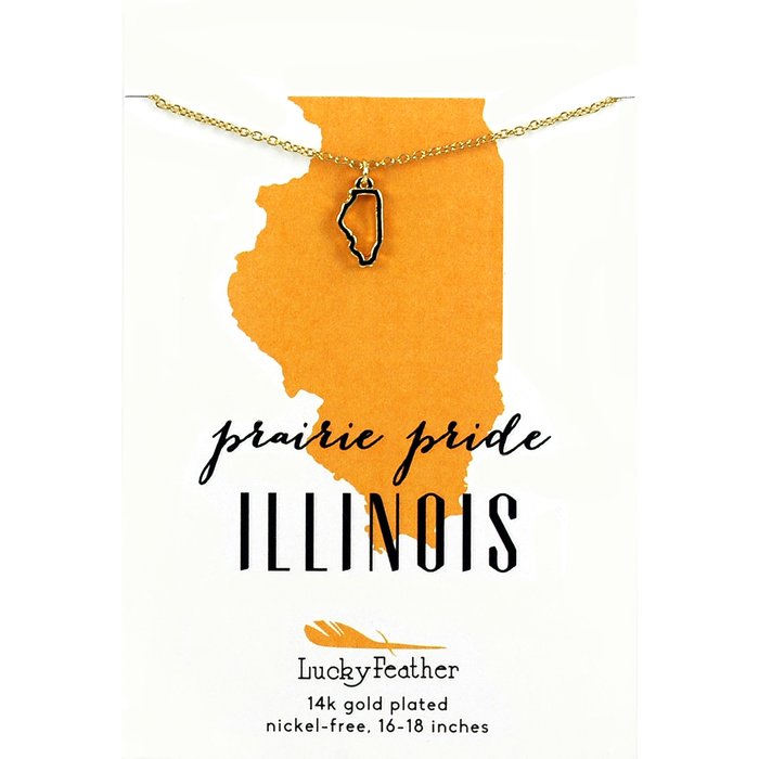 Illinois (State)