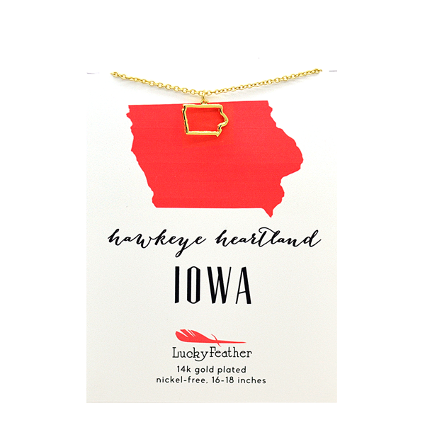 Iowa (State)