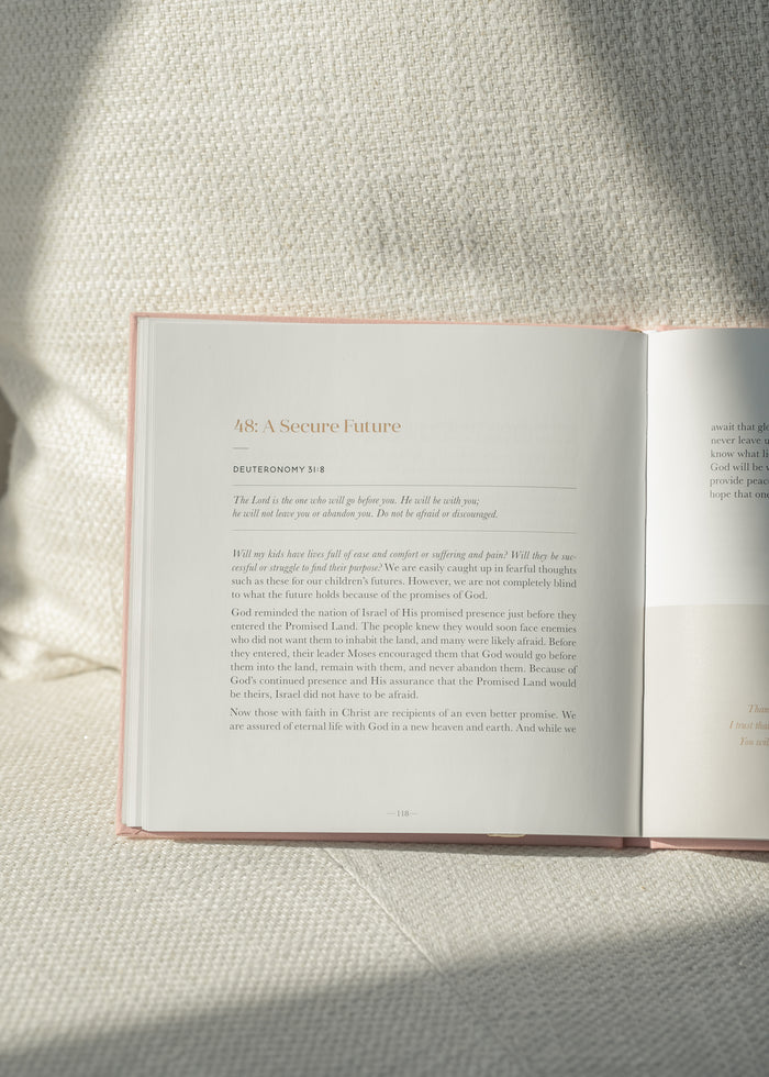 Steadfast Motherhood: 60 Day Devotional Gifts