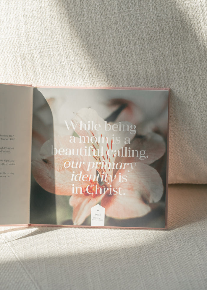 Steadfast Motherhood: 60 Day Devotional Gifts