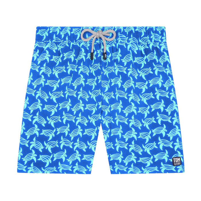 Turtle - Blue - Ice Green - Harrys for Menswear