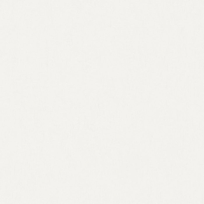 Light Gray 2